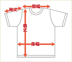 Tシャツのサイズについて